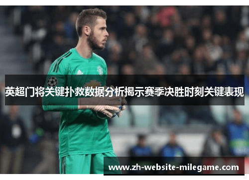 英超门将关键扑救数据分析揭示赛季决胜时刻关键表现 英超门将关键扑救数据分析揭示赛季决胜时刻关键表现