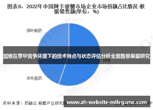 加维在意甲竞争环境下的技术特点与状态评估分析全面前景展望研究 加维在意甲竞争环境下的技术特点与状态评估分析全面前景展望研究